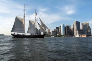 NYC: Vrijheidsbeeld dagtocht met bar aan boord