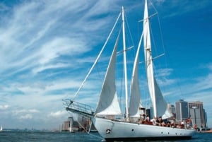 NYC: Vrijheidsbeeld dagtocht met bar aan boord