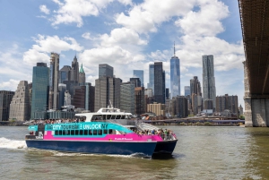 NYC: Frihetsgudinne-ekspresscruise – Frihetsrundtur