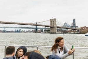 NYC: Cruzeiro sem bilheteria expresso da Estátua da Liberdade