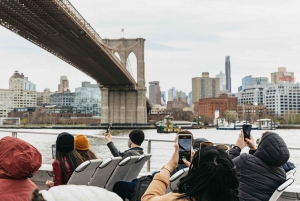 NYC: Frihetsgudinnan Express Skip-the-Box-Office Cruise