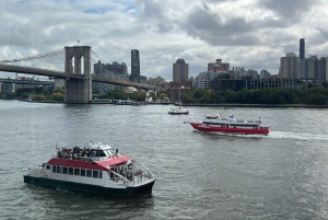 Crociera turistica alla Statua della Libertà di New York