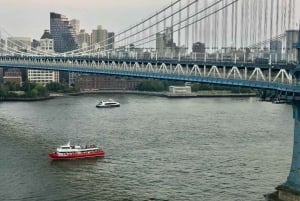 Crociera turistica alla Statua della Libertà di New York