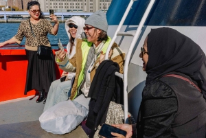 Crociera turistica alla Statua della Libertà di New York