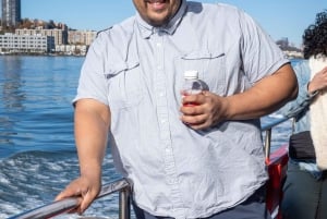 Crociera turistica alla Statua della Libertà di New York