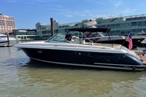 NYC: Tour panoramico privato della Statua della Libertà in yacht