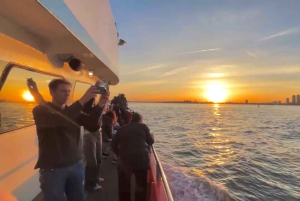 Coucher de soleil à New York, musique et croisière touristique avec vue sur la Statue de la Liberté