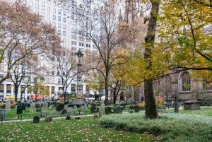 NYC : La visite à pied de l'histoire d'Alexander Hamilton