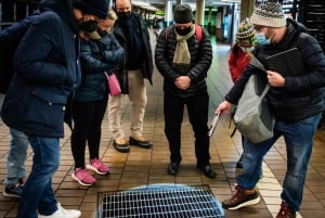 Нью-Йорк: экскурсия по подземному метро с местным жителем Нью-Йорка