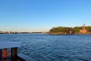 NYC: East Riverin auringonlaskukierros kaupunkien villieläimille