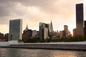 NUEVA YORK: Recorrido al atardecer por la fauna urbana del East River