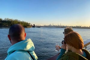 NUEVA YORK: Recorrido al atardecer por la fauna urbana del East River