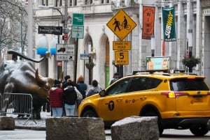 NYC: Visit Museum of Modern Art & 3hr Manhattan Walking Tour