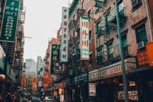 NYC: Visit Museum of Modern Art & 3hr Manhattan Walking Tour