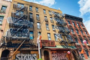 NYC: Vandringstur med lokal guide och 30+ av NYC:s främsta sevärdheter