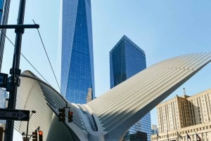 NYC: Visita a pie con guía local y más de 30 lugares de interés de NYC