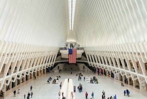 NYC: Visita a pie con guía local y más de 30 lugares de interés de NYC