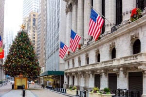 NYC: Tour guidato a piedi di Wall Street