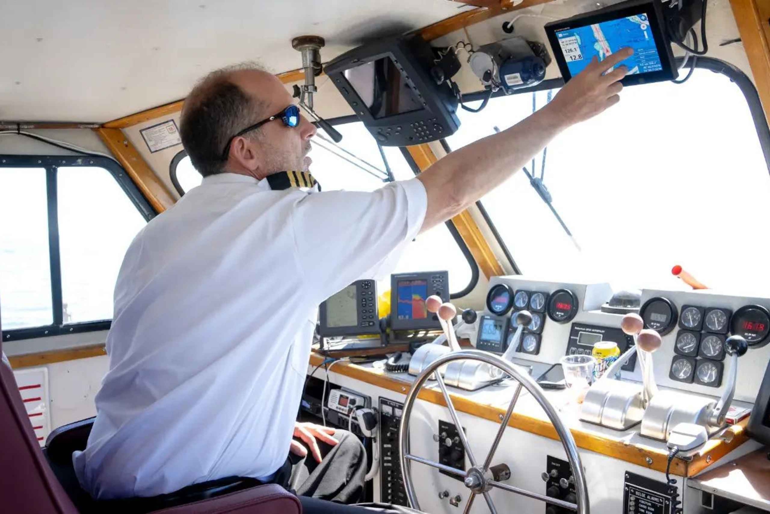 NYC : croisière d'observation des baleines au départ de Manhattan
