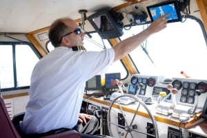 NYC : croisière d'observation des baleines au départ de Manhattan