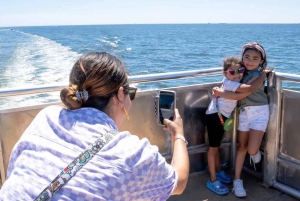 NYC : croisière d'observation des baleines au départ de Manhattan