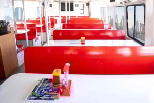 NYC : croisière d'observation des baleines au départ de Manhattan