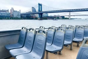 NYC : croisière d'observation des baleines au départ de Manhattan