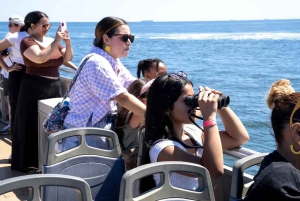 NYC: Hvalsafari fra Manhattan