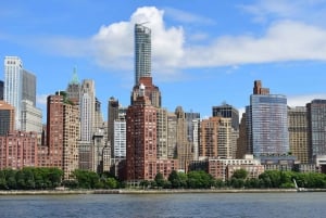 NYC : Whitney Museum of American Art et visite à pied de Manhattan
