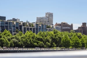 O melhor de Nova Iorque: excursão a pé por Brooklyn Heights e DUMBO