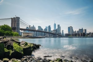 Лучшее в Нью-Йорке: пешеходная экскурсия по Brooklyn Heights и DUMBO