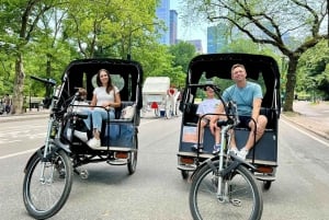 Offizielle geführte & private Touren mit dem Tretauto im Central Park