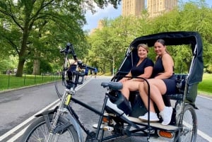 Visites guidées et visites privées officielles en Pedicab dans Central Park