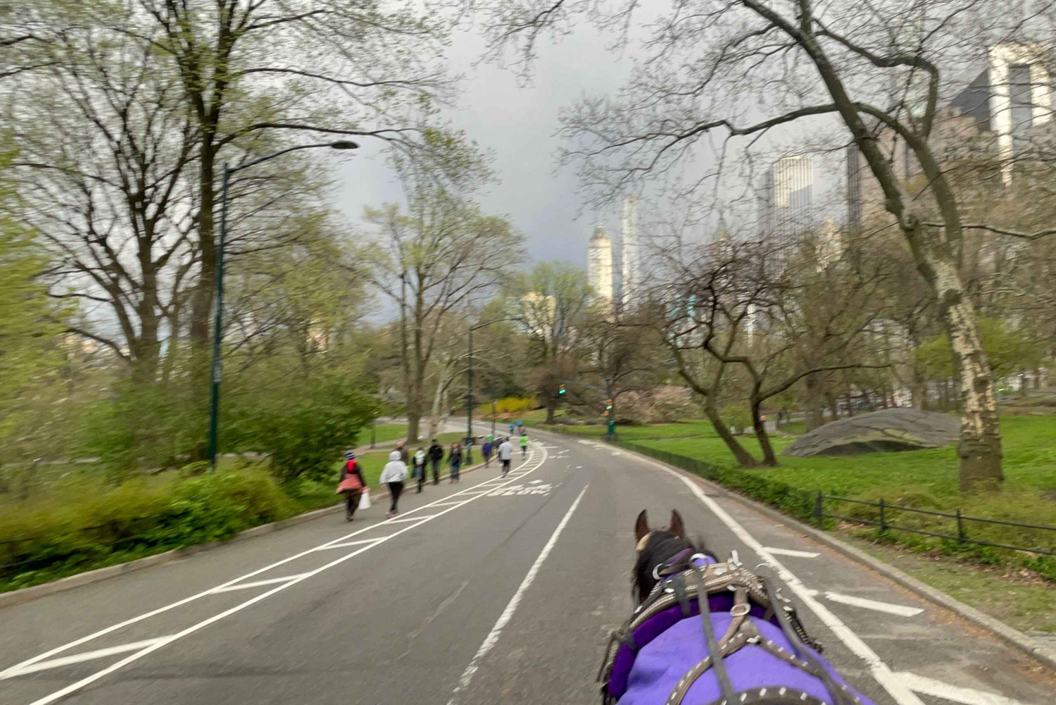 Virallinen eksklusiivinen VIP-hevoskärryajelu Central Parkissa