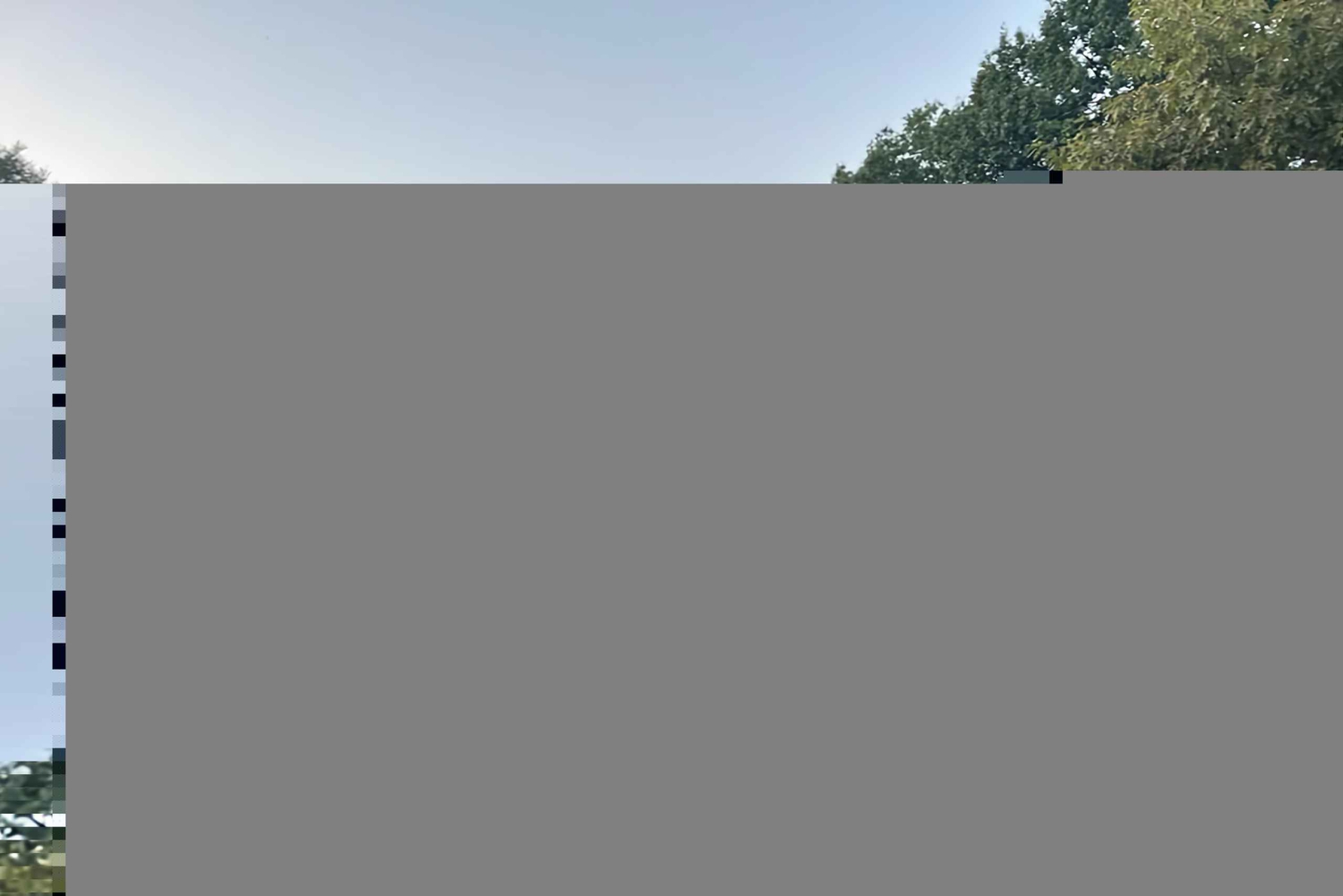 Virallinen eksklusiivinen VIP-hevoskärryajelu Central Parkissa