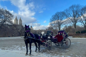 Promenade officielle exclusive en calèche dans Central Park