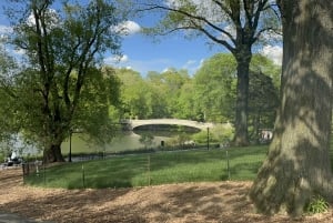 Promenade officielle exclusive en calèche dans Central Park