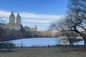 Officiel eksklusiv VIP-hestevognstur i Central Park