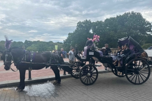 Official Exclusive VIP Horse Carriage Ride in Central Park