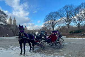 Virallinen eksklusiivinen VIP-hevoskärryajelu Central Parkissa