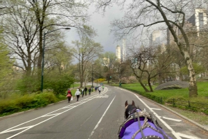 Virallinen eksklusiivinen VIP-hevoskärryajelu Central Parkissa