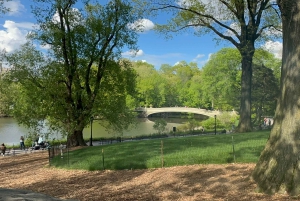 Virallinen eksklusiivinen VIP-hevoskärryajelu Central Parkissa