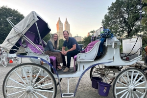 Virallinen eksklusiivinen VIP-hevoskärryajelu Central Parkissa