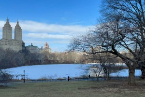 Virallinen eksklusiivinen VIP-hevoskärryajelu Central Parkissa