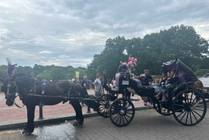 Virallinen eksklusiivinen VIP-hevoskärryajelu Central Parkissa