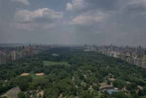 Officiële VIP-rondleiding met paard en wagen door het hele Central Park