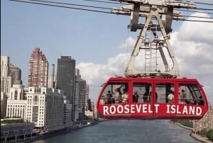 Panoramisch uitzicht op New York door de lucht, over het water en over land