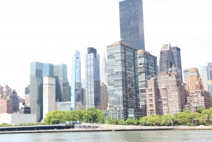 Panoramisch uitzicht op New York door de lucht, over het water en over land