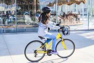 Visite privée du pont de Brooklyn à vélo