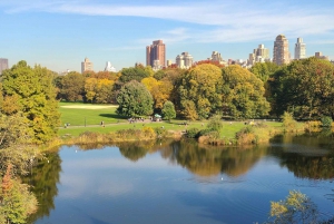 Privat cykeltur i Central Park och lyxig picknick